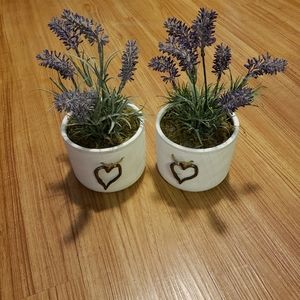 Fake lavender plants